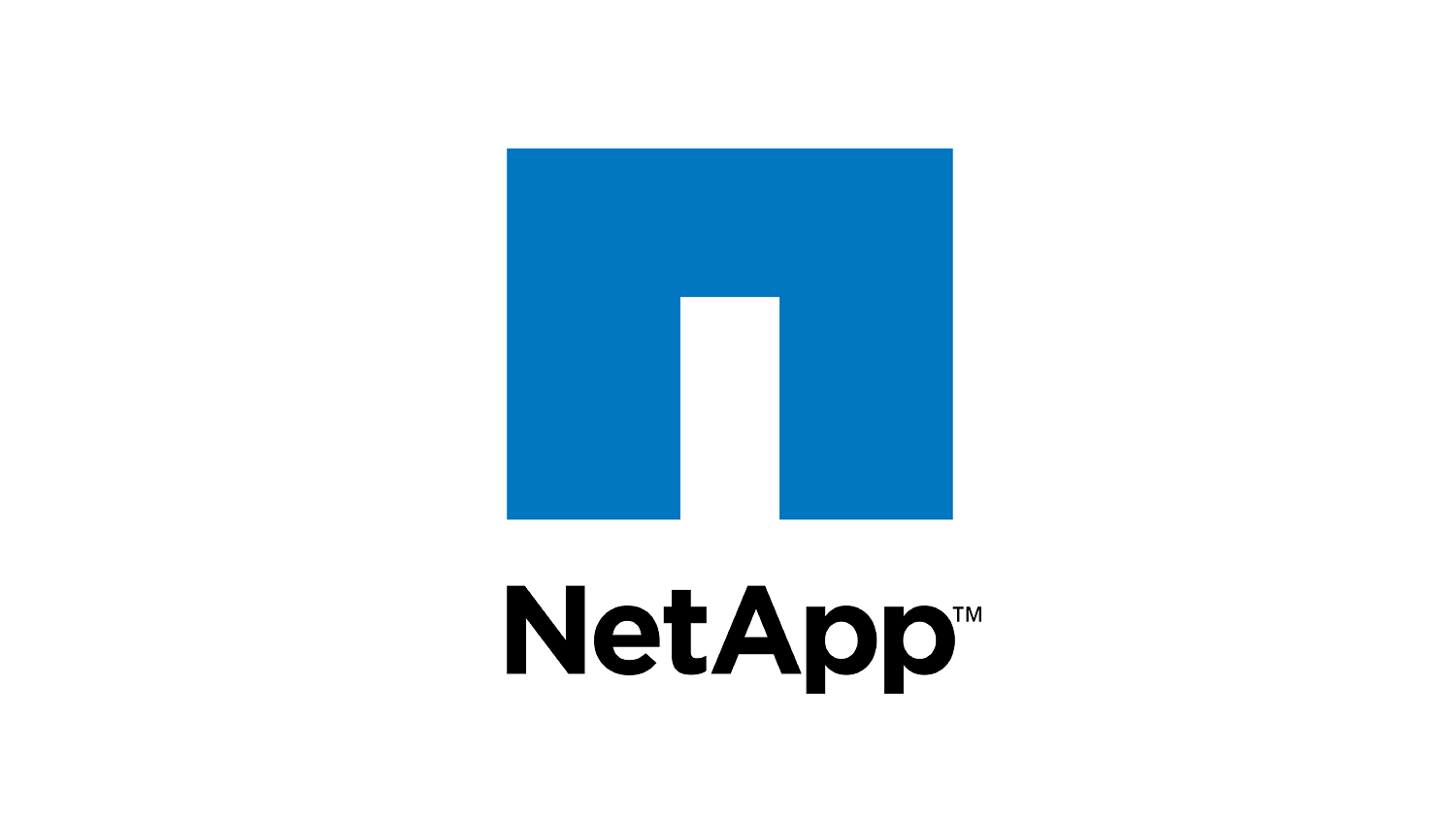 Netapp Svg Digital Value Group - Integrated ICT Services for over 30 years
